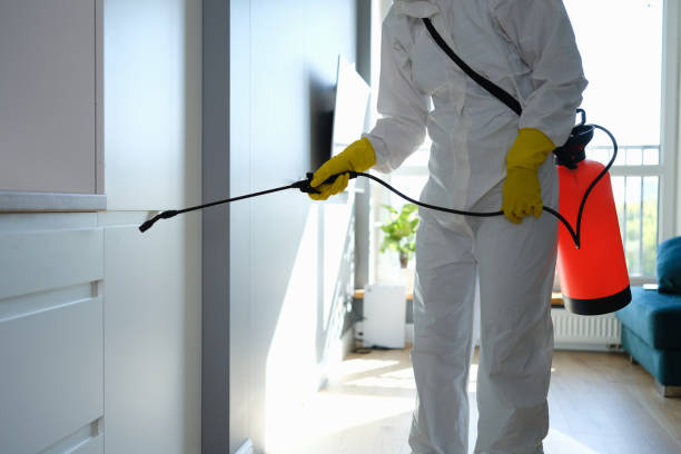 Best Professional Mold Removal  in Olivia, MN